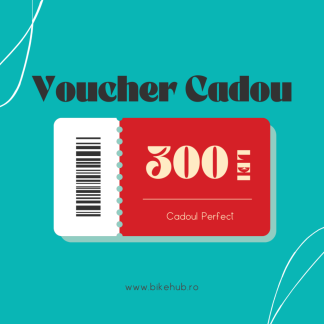Voucher cadou 300 lei